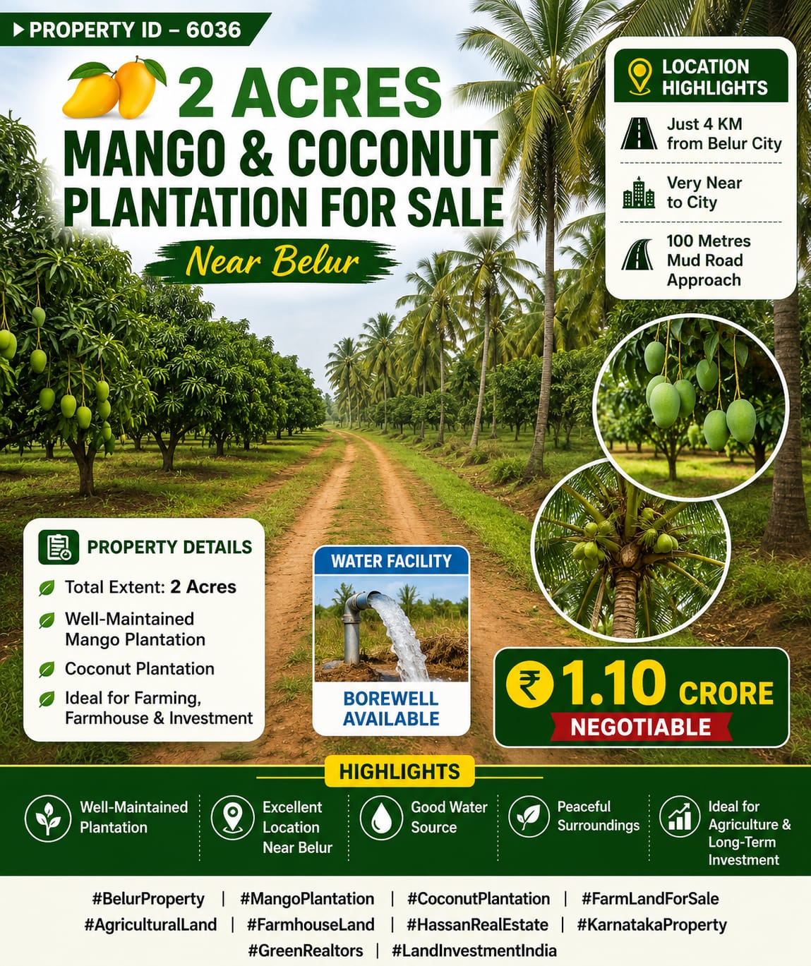 🆔 *PROPERTY ID –6036* 🥭🌴 *2 Acres Mango & Coconut Plantation for Sale – Near Belu